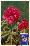 LUXEMBOURG Carte Maximum - Pivoine - Cartoline Maximum