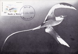 MALDIVES Carte Maximum - Phaethon Lepturus - Malediven (1965-...)