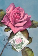 MONACO Carte Maximum - Rose "Grace De Monaco" - Maximumkaarten