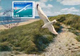 MONACO Carte Maximum - Soleil Levant, Mouette - Maximumkaarten