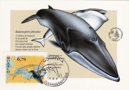 MONACO Carte Maximum - Baleines Sur Carte - Cartoline Maximum