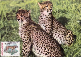 MOZAMBIQUE Carte Maximum - Acinonyx Jubatus - Mozambique