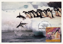 NATIONS UNIES Carte Maximum - Pingouins - Maximumkaarten