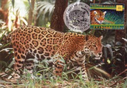NATIONS UNIES Carte Maximum - Jaguar - Tarjetas – Máxima