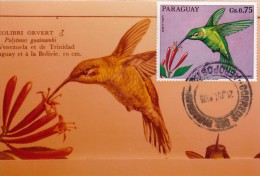 PARAGUAY Carte Maximum - Polytmus Guinumbi - Paraguay