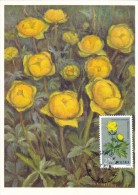 POLOGNE Carte Maximum - Trollius Europaeus - Tarjetas Máxima