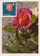 POLOGNE Carte Maximum - Rose Monique - Maximumkaarten