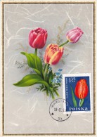 POLOGNE Carte Maximum - Tulipe - Tarjetas Máxima