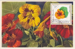 POLOGNE Carte Maximum - Capucine - Maximum Cards