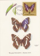 POLOGNE Carte Maximum - Apatura Iris - Maximum Cards