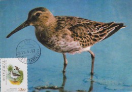 PORTUGAL Carte Maximum - Calidris Alpina - Maximumkaarten