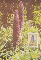 PORTUGAL MADERE Carte Maximum - Echium Candicans - Maximumkarten (MC)