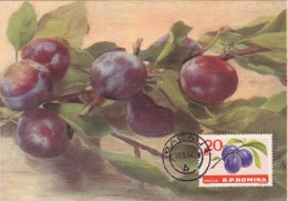 ROUMANIE Carte Maximum - Prunes - Maximum Cards & Covers