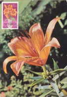 Delcampe - ROUMANIE Carte Maximum - Lilium Croceum - Maximumkarten (MC)