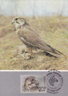 URSS Carte Maximum - Falco Cherrug - Sonstige & Ohne Zuordnung