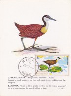 RWANDA Carte Maximum - Jacana D'Afrique - Autres & Non Classés