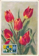 SAINT MARIN Carte Maximum - Tulipes - Autres & Non Classés