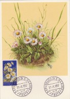 SAINT MARIN Carte Maximum - Marguerites - Sonstige & Ohne Zuordnung