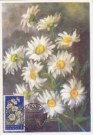 SAINT MARIN Carte Maximum - Marguerites - Altri & Non Classificati