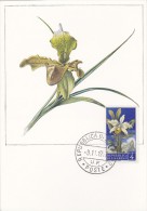 SAINT MARIN Carte Maximum - Orchidées - Altri & Non Classificati