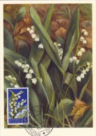 SAINT MARIN Carte Maximum - Muguet - Other & Unclassified