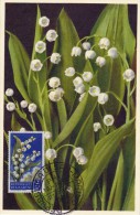 SAINT MARIN Carte Maximum - Muguet - Other & Unclassified