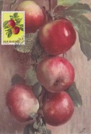 SAINT MARIN Carte Maximum - Pommes - Autres & Non Classés