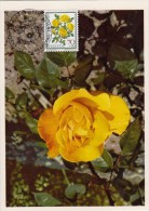SUISSE Carte Maximum - Rosa Foetida Persiana - Maximumkaarten