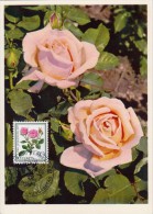 SUISSE Carte Maximum - Rosa Centifolia Muscosa - Maximumkaarten