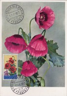 SAINT MARIN Carte Maximum - Coquelicots - Other & Unclassified