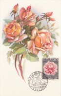 TCHECOSLOVAQUIE Carte Maximum - Rose - Andere & Zonder Classificatie