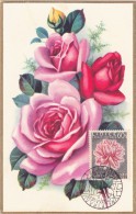 TCHECOSLOVAQUIE Carte Maximum - Rose - Sonstige & Ohne Zuordnung