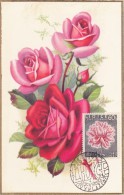 TCHECOSLOVAQUIE Carte Maximum - Rose - Andere & Zonder Classificatie