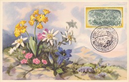 TCHECOSLOVAQUIE Carte Maximum - Edelweiss - Other & Unclassified