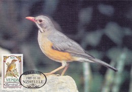 AFRIQUE SUD VENDA Carte Maximum - Turdus Libonyanus - Venda