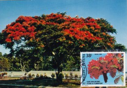 WALLIS & FUTUNA Carte Maximum - Le Flamboyant - Cartoline Maximum