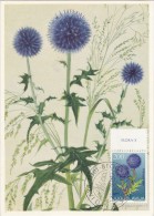 YOUGOSLAVIE Carte Maximum - Echinops Ritro - Cartoline Maximum