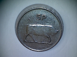 Irlande 5 Pence 1980 - Irland