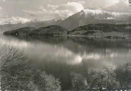 Risch Am Zugersee - Ausblick Vom Kurhaus Waldheim              Ca. 1940 - Zug