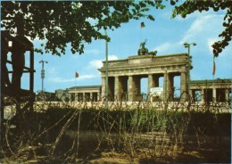 Berlin - Brandenburger Tor 71  Mit Mauer Und Stacheldraht - Berlijnse Muur