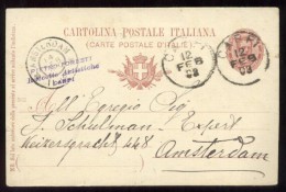 CARPI - MODENA - 1903 - CARTOLINA POSTALE COMMERCIALE PIETRO FORESTI - RACCOLTE ARTISTICHE. X AMSTERDAM (INT115) - Carpi