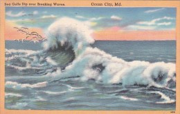 Sea Gulls Dip Over Breaking Waves Ocean City Maryland 1956 - Ocean City