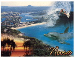 (444) Australia - QLD - Noosa (with International Stamp At Back Of Card) - Sunshine Coast