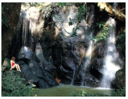 (444) Australia - QLD - Waterfalls - Far North Queensland