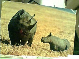 RINOCERONTE  AFRICA  KENYA V1979 EY4534 - Rinoceronte