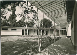 Berlin - Hermsdorf - Naturfreundehaus Hermsdorfer Fliesstal - Südansicht - Foto-AK - Reinickendorf