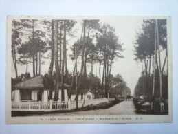 ARES  (Gironde)  :  Boulevard De L'AERIUM    - Arès