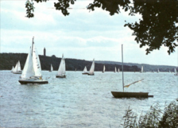 Berlin Grunewald - Blick Auf Die Havel Mit Grunewaldturm - Grunewald