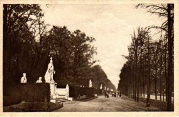 Berlin Tiergarten - S/w Sieges Allee 2 - Tiergarten