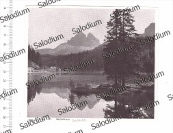 Lago Di Misurina - Immagine Ritagliata Da Pubblicazione Originale D´epoca - Other & Unclassified